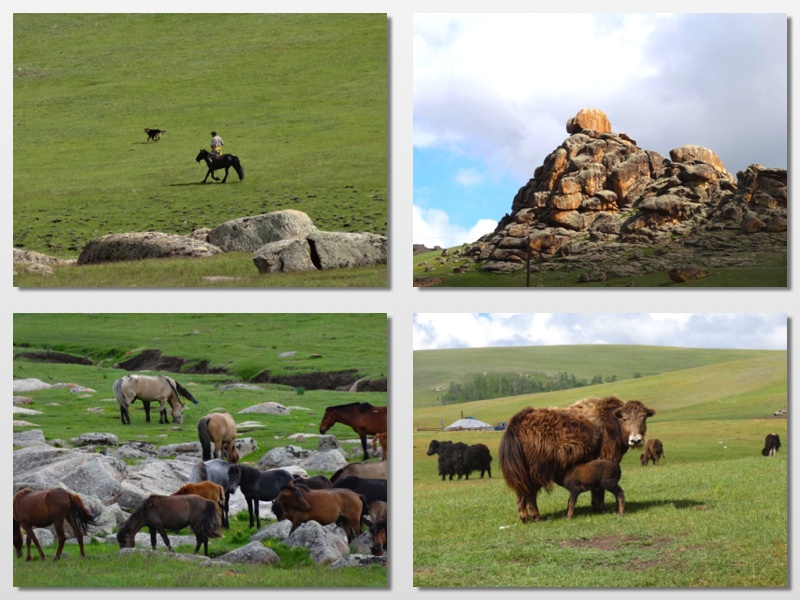mongolian countryside 1