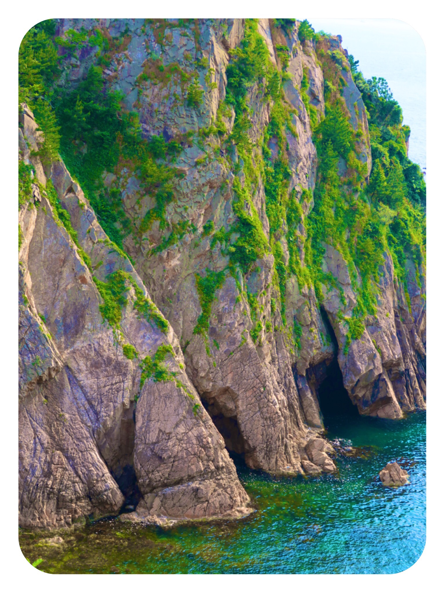 Img 6797 Tali Landsman